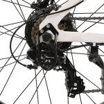 Ecotric Vortex 36V 350W Electric Bike With Removable Battery - Image 22