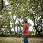 Magnusson Tree Bypass Telescopic Loppers - Image 2