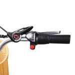 Nakto Men City Electric Bicycle Dual Motor Black Frame - Image 8