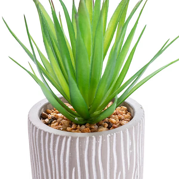 candlelight-green-17-5cm-succulent-artificial-plant-in-grey-ceramic-pot_5010795682522_01c_bq Candlelight Green 17.5cm Succulent Artificial plant in Grey Ceramic Pot - Image 1