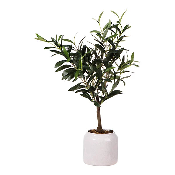 green-58cm-olive-artificial-plant-in-cream-speckled-ceramic-pot_5057741444780_01c Green 58cm Olive Artificial plant in Cream Speckled Ceramic Pot - Image 1