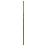 Klikstrom Square Wooden Fence post (H)1.8m (W)45mm