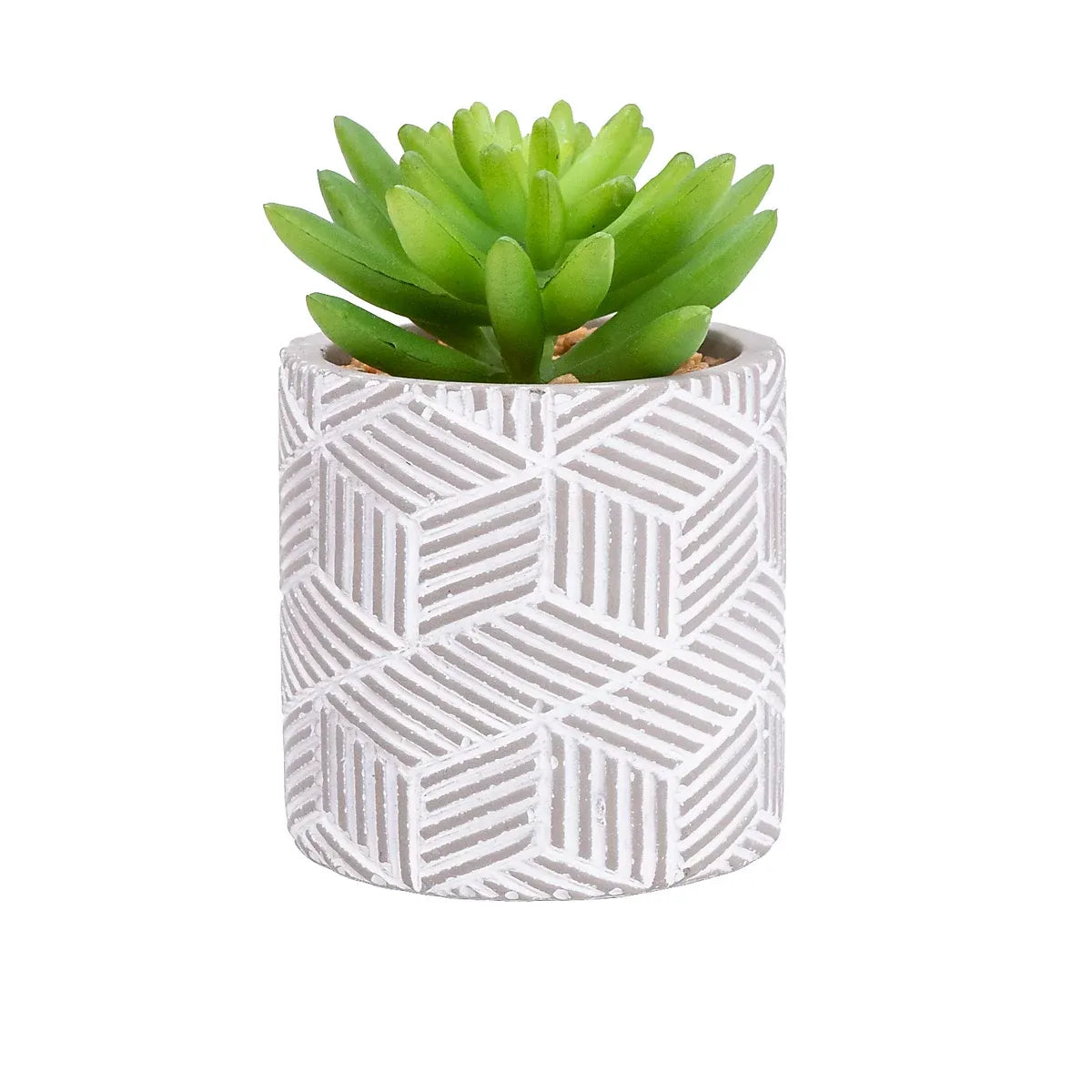 imgi_33_candlelight-green-12cm-succulent-artificial-plant-in-grey-ceramic-pot_5010795682515_02c_bq Candlelight Green 12cm Succulent Artificial plant in Grey Ceramic Pot - Image 1