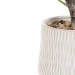 Green 62cm Eucalyptus Artificial plant in Natural Ceramic Pot - Image 3