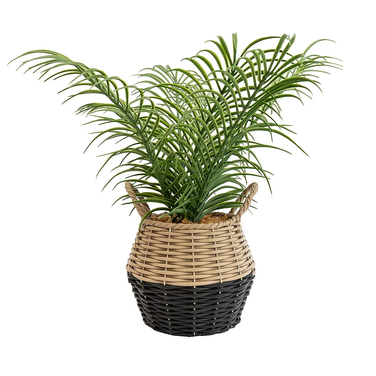 imgi_35_candlelight-green-20cm-palm-artificial-plant-in-natural-wicker-basket_5010795682577_01c_bq Candlelight Green 20cm Palm Artificial plant in Natural Wicker Basket - Image 1