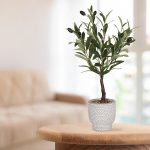 Green 53cm Olive Artificial plant in Grey Ceramic Pot - Image 6