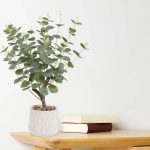 Green 62cm Eucalyptus Artificial plant in Natural Ceramic Pot - Image 2