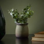 Candlelight Green 18cm Chinese Money Artificial plant in Green Ceramic Pot - Image 4