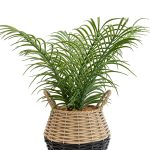 Candlelight Green 20cm Palm Artificial plant in Natural Wicker Basket - Image 2