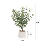 Green 62cm Eucalyptus Artificial plant in Natural Ceramic Pot - Image 7