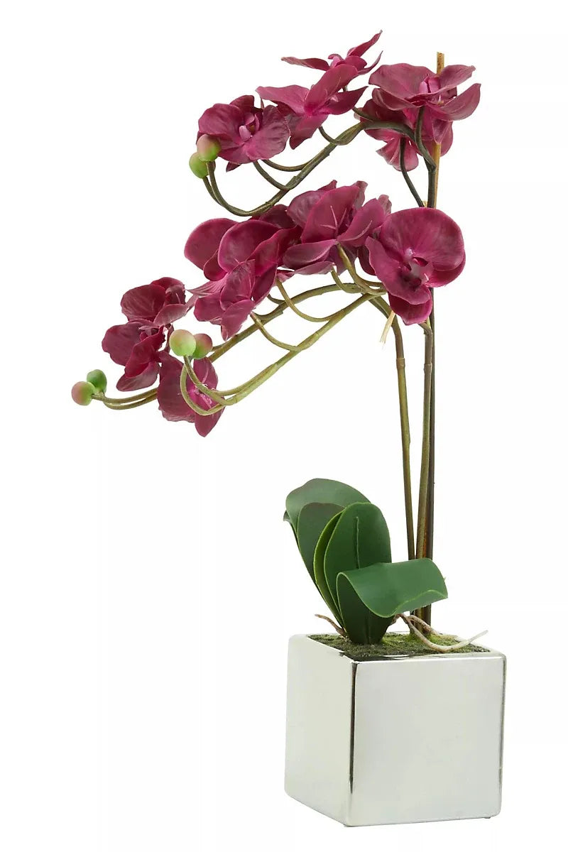 imgi_39_fiori-aubergine-orchid-plant-artificial-plant-foliage_5018705955780_02c_MP Fiori Aubergine Orchid Plant Artificial Plant Foliage - Image 1