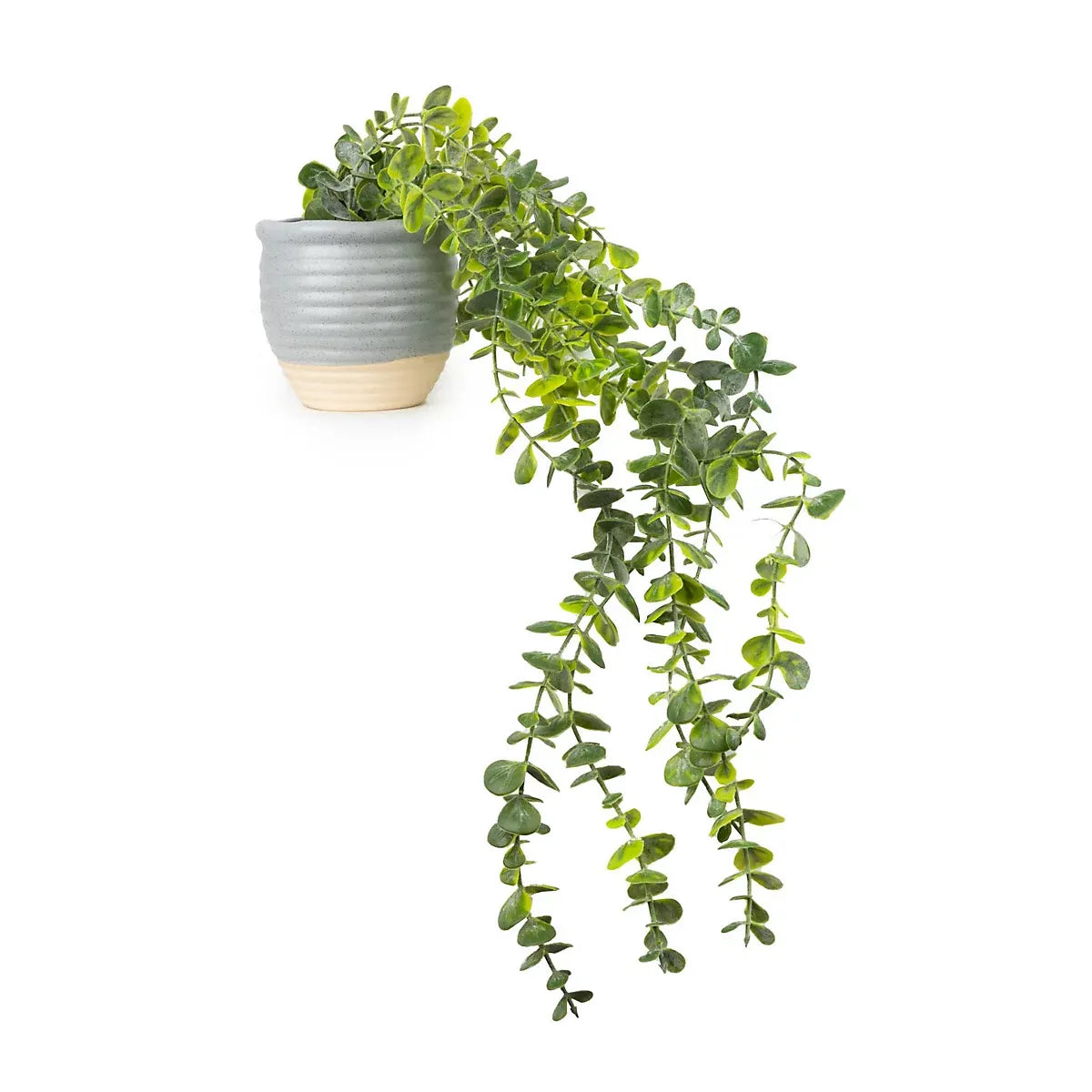 imgi_42_50cm-eucalyptus-artificial-plant-in-grey-ceramic-pot_5010795717521_02c_bq 50cm Eucalyptus Artificial plant in Grey Ceramic Pot - Image 1