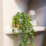 50cm Eucalyptus Artificial plant in Grey Ceramic Pot - Image 4