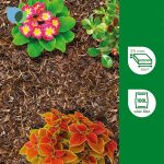 Verve Landscape Dark brown Small Bark chippings 100L Bag - Image 2