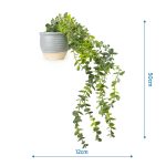 50cm Eucalyptus Artificial plant in Grey Ceramic Pot - Image 6