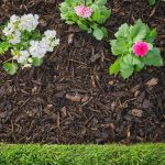 Verve Landscape Dark brown Small Bark chippings 100L Bag - Image 7
