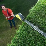 Ryobi ONE+ RPT184520 18V Cordless 450mm Hedge trimmer - Image 2