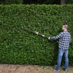 Ryobi ONE+ RPT184520 18V Cordless 450mm Hedge trimmer - Image 3